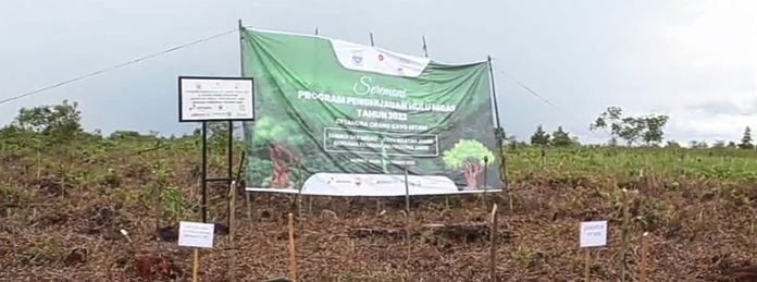 Penanaman pohon